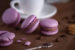 Lavander honey french macaroons